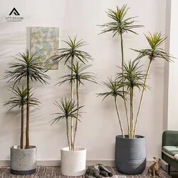 cay dua gia decor bat mat.jpg