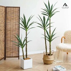 cay phat tai nui gia decor dep.jpg