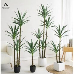 cay phat tai nui gia decor.jpg