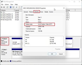 Partition-style-GPT-MBR.jpg