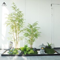 cay tre truc gia decor.jpg