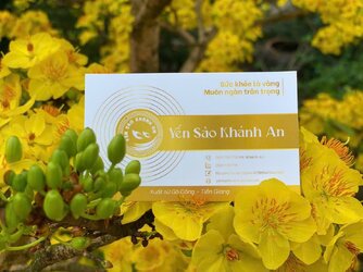 card yen sao khanh an.jpg