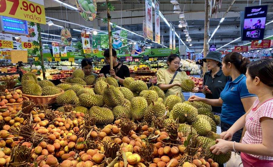 cach chon sau rieng.jpg