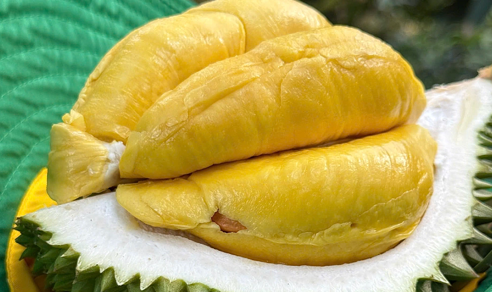 sầu riêng múi .png