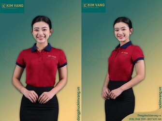 dong-phuc-ao-thun-cao-cap-dongphuckimvang.vn.jpg