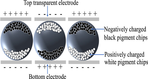 Sơ đồ chi tiết cấu tạo một microcapsule E Ink.jpg Sơ đồ chi tiết cấu tạo một microcapsule E Ink.jpg