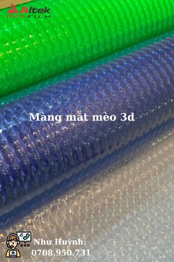 Màng mắt mèo 3d.jpg