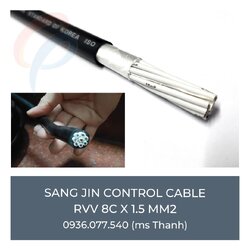 Sangjin rvv_8C.jpg