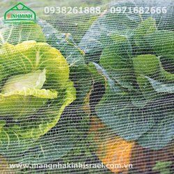 Luoi Chan Con Trung - 13.jpg