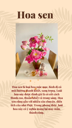 hoa-sen-dang-ban-tho-than-tai (3).png