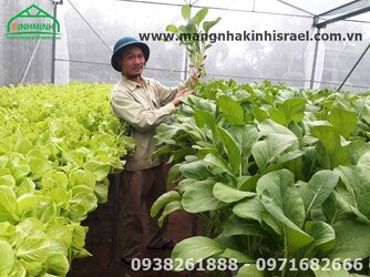 Mang nha kinh khang luu huynh - 5.jpg