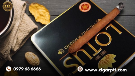 lich-su-hinh-thanh-va-triet-ly-thuong-hieu-cigar-lotus.png