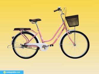 Xe đạp nữ Taik 2 khung 24 inch thanh lịch.jpg