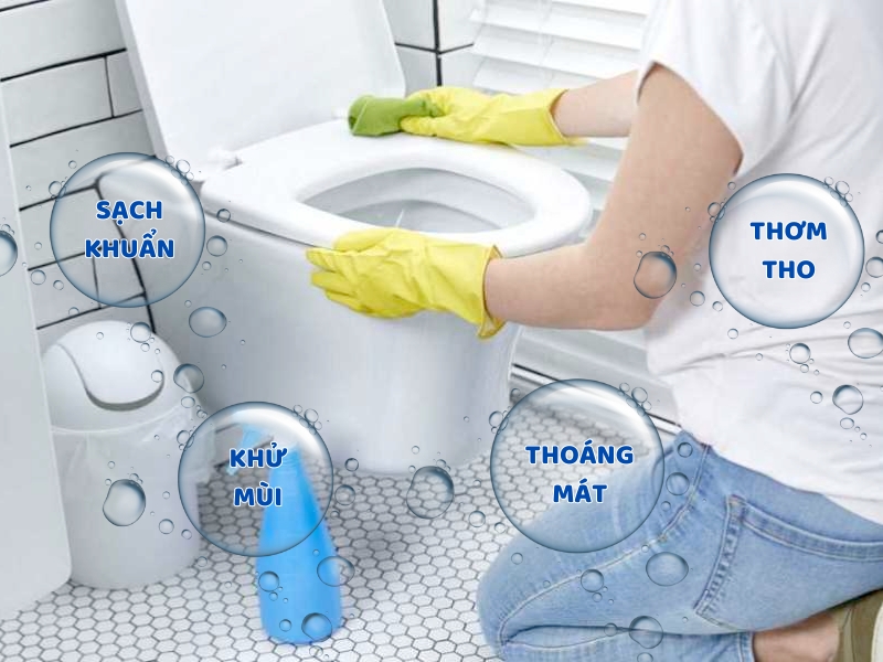 ve-sinh-bon-cau-thuong-xuyen-giup-diet-moi-vi-khuan-gay-benh.jpg