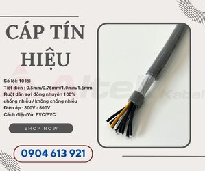 cáp 10x1.0.jpg