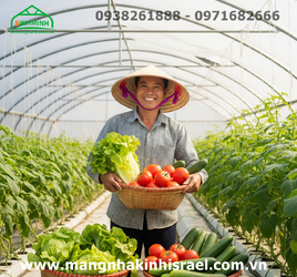 Mang Nha Kinh Politiv Israel - 12.png