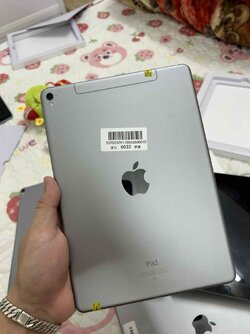 IMG_1224.jpeg