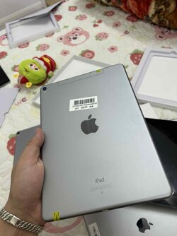 IMG_1222.jpeg