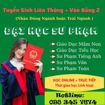 dhsp1.jpg