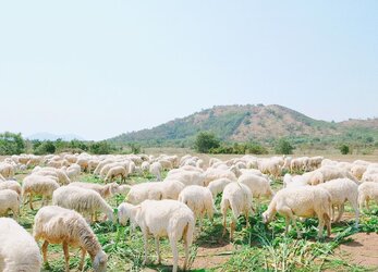 doi-cuu-suoi-nghe-ivivu-1.jpg