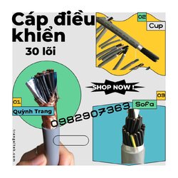 dieukhien 2.jpeg