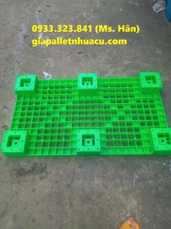 z5689096488562_8ca203c7646e9cc3ae88c79ee3658b36.jpg