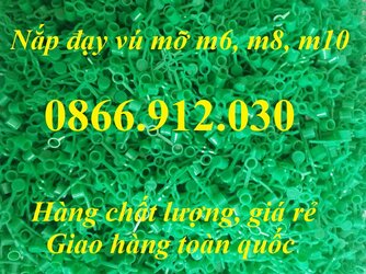 nap-chup-bao-ve-dau-bom-mo.jpg