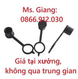 nap-chup-bao-ve-thiet-bi-bom-mo.jpg