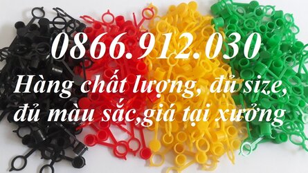 nap-chup-vu-mo.jpg