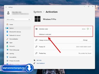active-windows-11-8.jpg