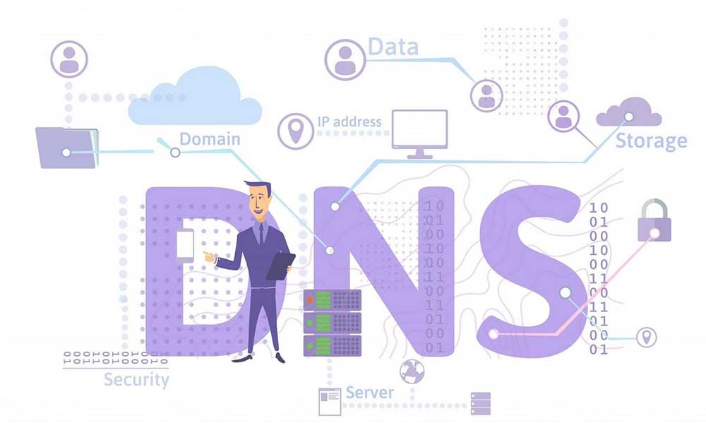 dns-la-gi1.jpg dns-la-gi1.jpg