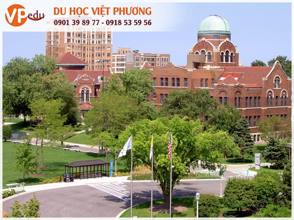 du-hoc-my-nganh-quan-tri-kinh-doanh-6.jpg du-hoc-my-nganh-quan-tri-kinh-doanh-6.jpg