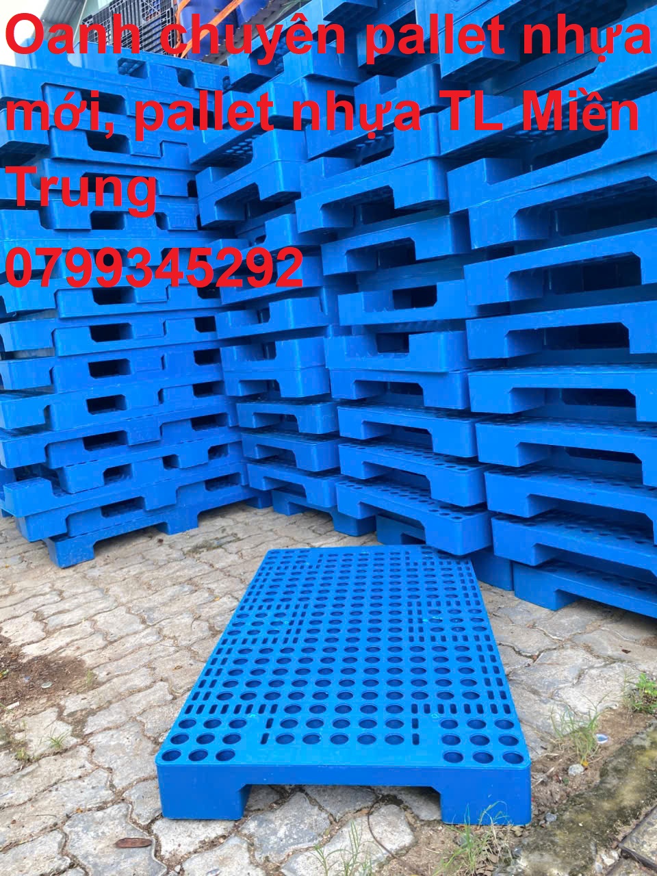 z6992025847111_1b08680a578da98b860ef7c1a3639438.jpg