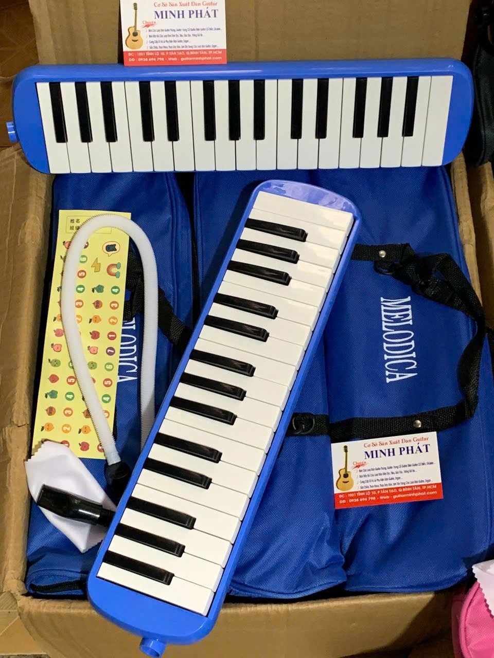ken-phim-melodica-32-phim (5).jpg