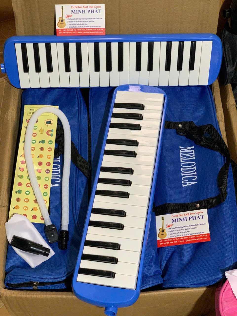 ken-phim-melodica-32-phim (7).jpg