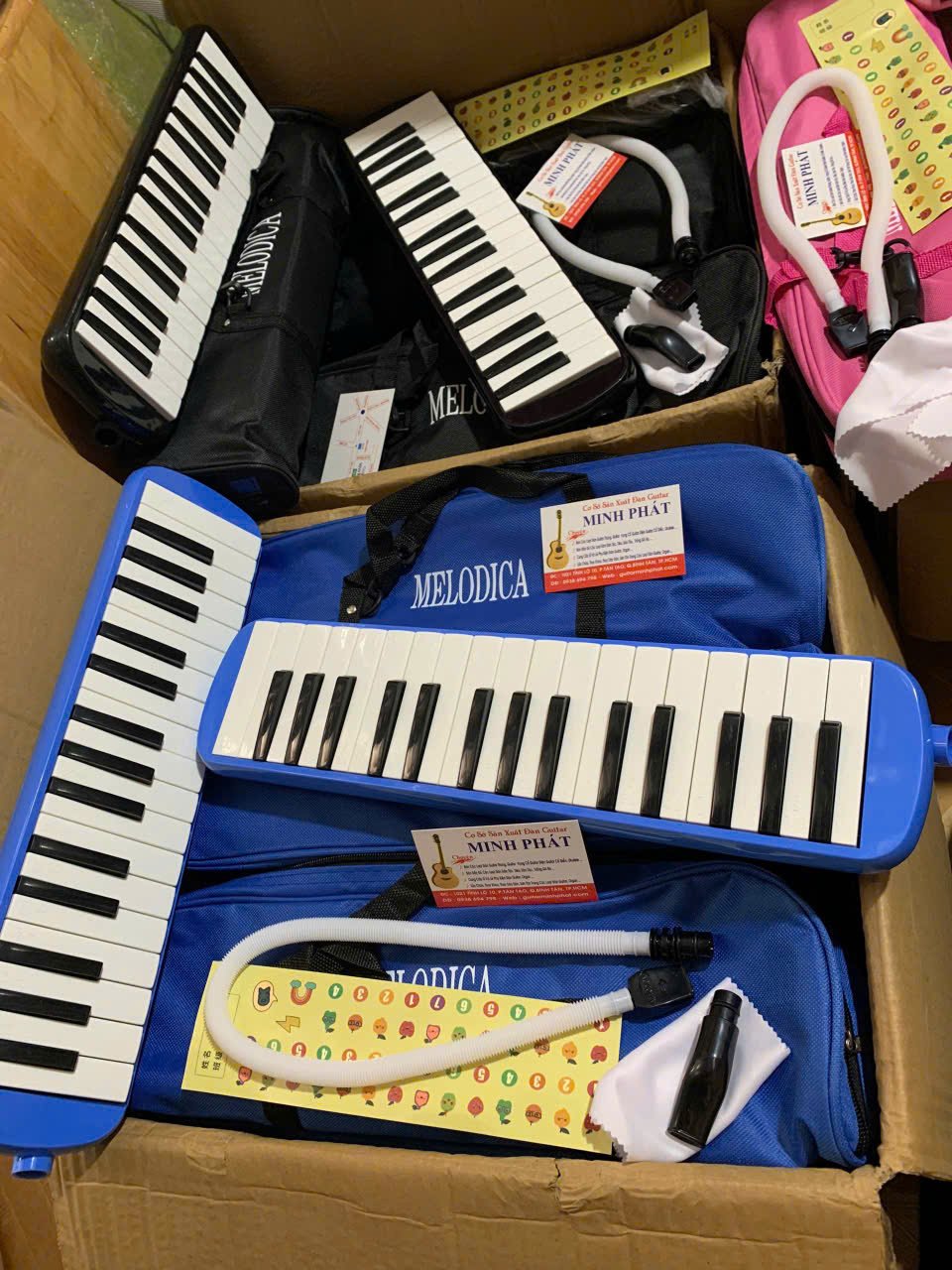 ken-phim-melodica-32-phim (12).jpg