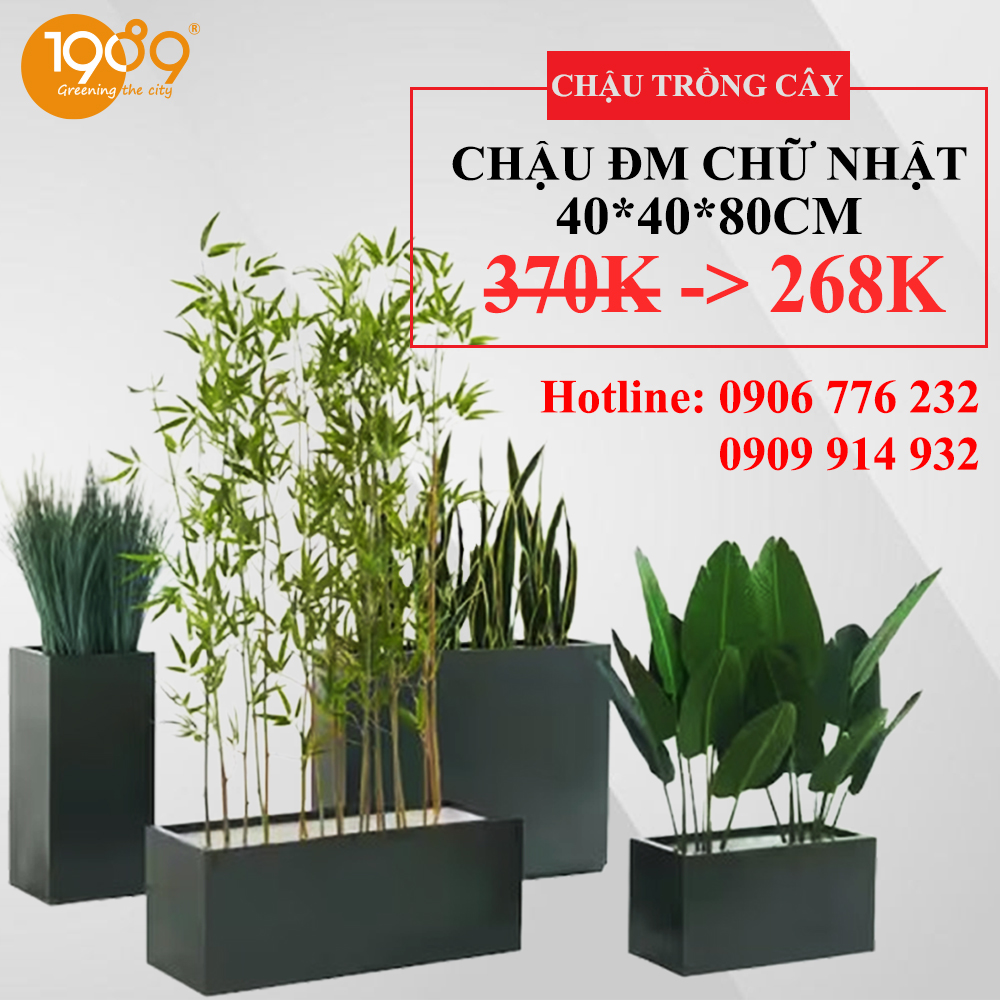 banner chậu đá mài 1.jpg banner chậu đá mài 1.jpg