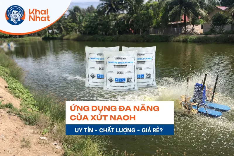 ung dung da nang cua naoh.png