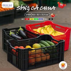 song ca chua.jpg