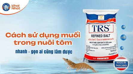su-dung-muoi-trong-nuoi-tom-thumnail-1.jpg su-dung-muoi-trong-nuoi-tom-thumnail-1.jpg