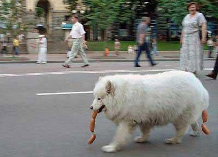 1326500454tranhvuiHOIQUANCUOI1jpg1326534500.jpg 1326500454tranhvuiHOIQUANCUOI1jpg1326534500.jpg