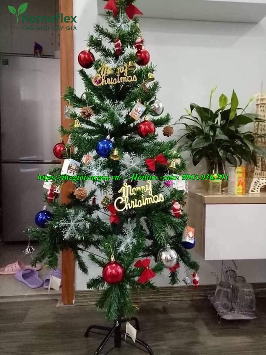 cay-thong-noel-gia-7.jpg cay-thong-noel-gia-7.jpg