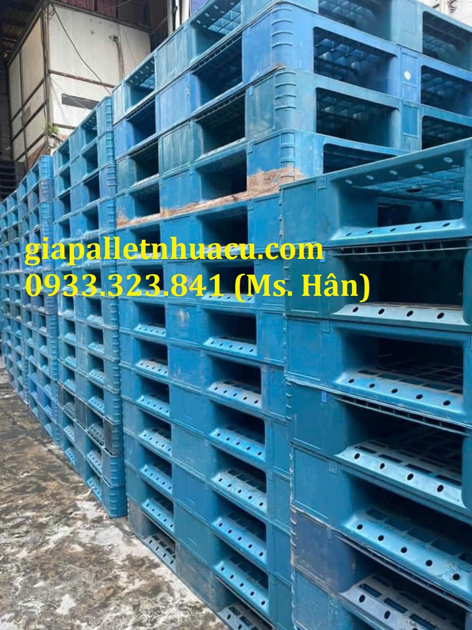 z5758420005788_1d925d6e9f01955fd62fbc3b5265ae49.jpg z5758420005788_1d925d6e9f01955fd62fbc3b5265ae49.jpg