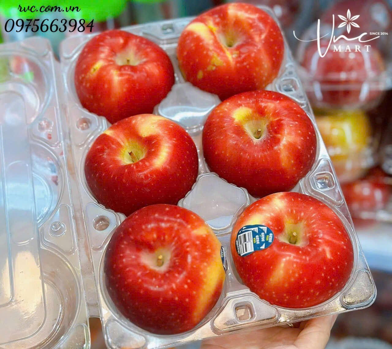 Hop-nhua-6-trai-tao.10.jpg Hop-nhua-6-trai-tao.10.jpg