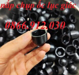 nap-chup-dau-oc-luc-giac.jpg