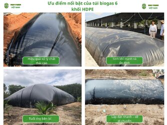 Cách sử dụng bạt phủ đất trồng cây hiệu quả (2).jpg