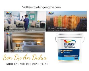 DỰ ÁN DULUX.jpg