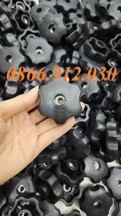 num-van-ren-trong m10.jpg