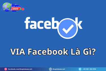 VIA-Facebook-La-Gi.png