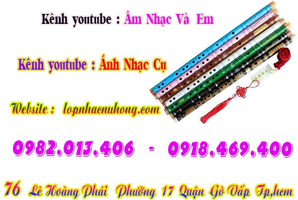 sao-dizi-truc-tim (7).jpg